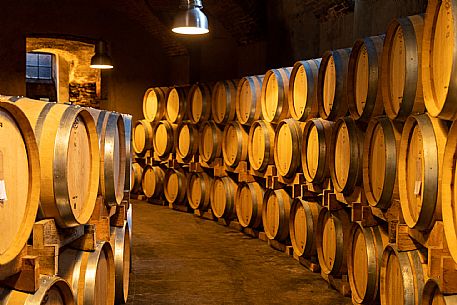 Cellar - Barrels - Wine